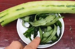 kulit timun 300x199 - 21 Cara Paling Jitu Membasmi Kecoa Secara Mudah di Rumah